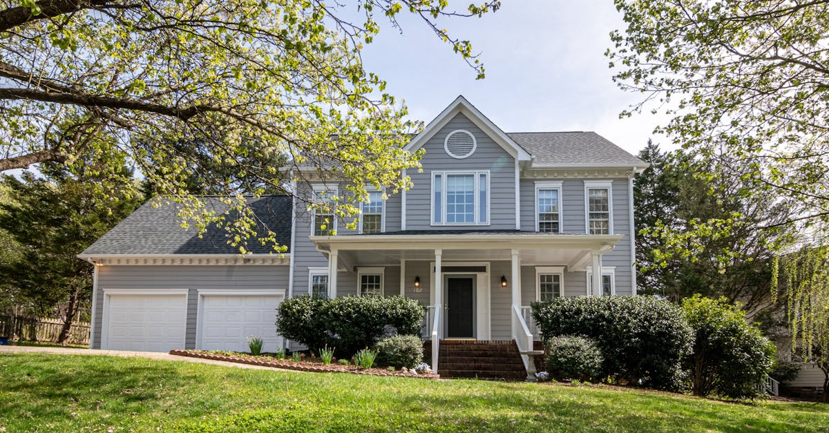 Best Plants for Green Roofs in the UK Climate