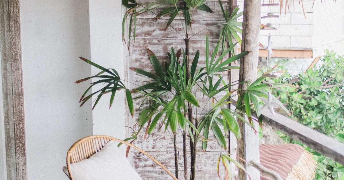 Common Chimney Problems and Solutions