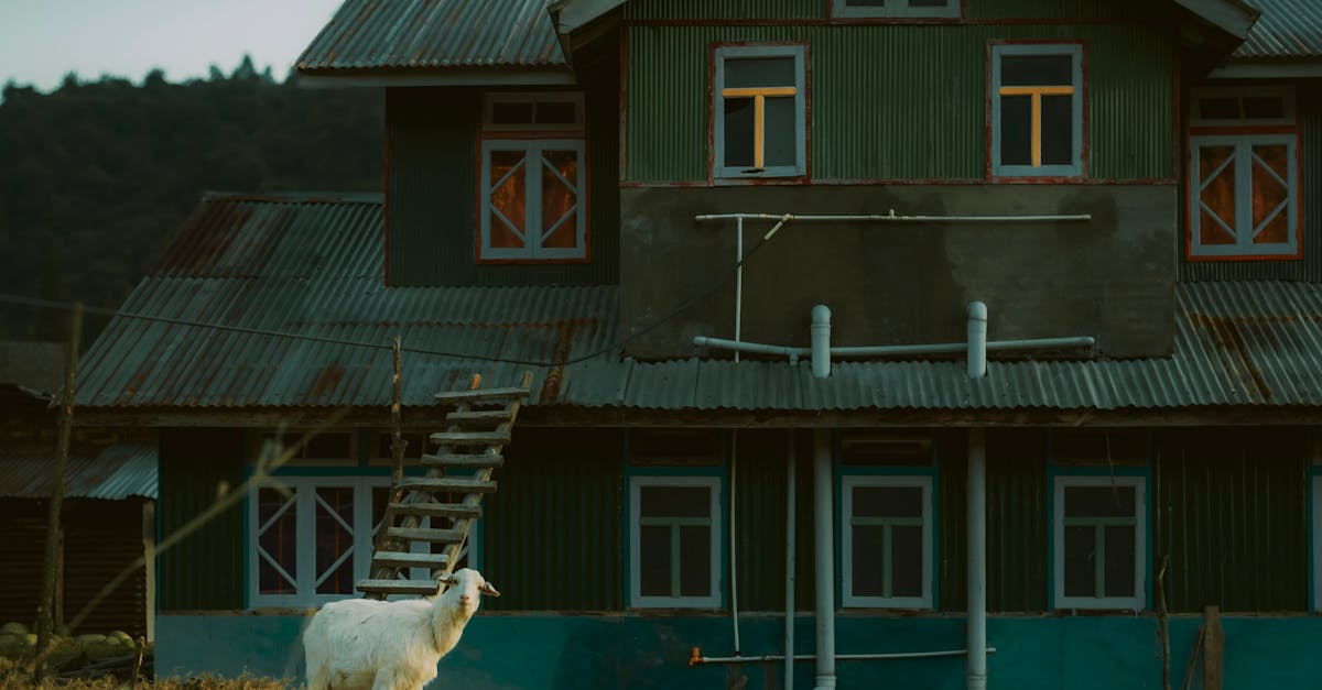 Environmental Benefits of Metal Roofing in the UK