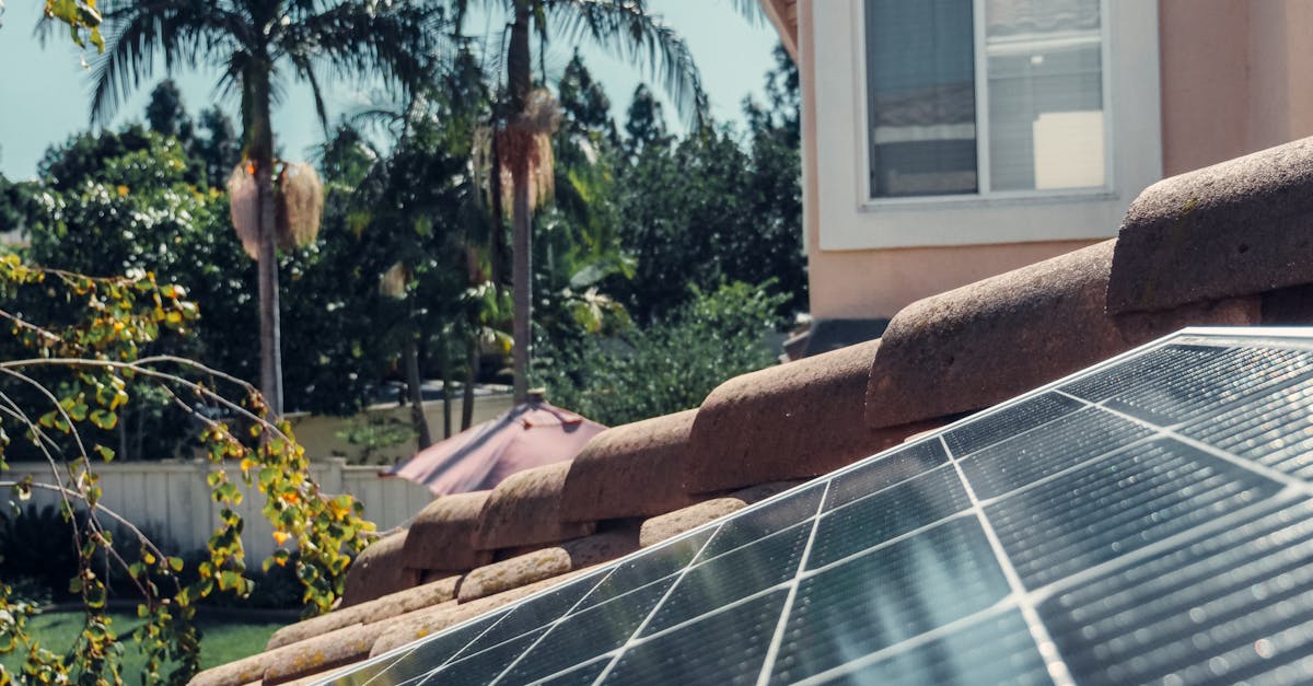 Maintenance Tips for Solar Panels Installed on UK Roofs