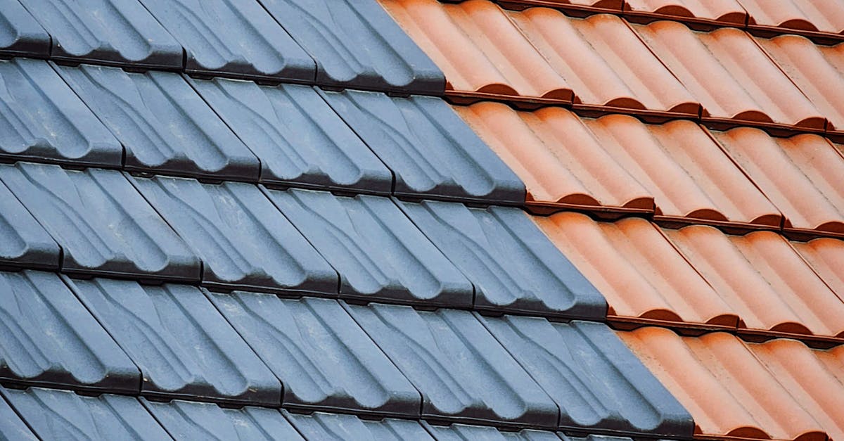 Preventing Future Roof Leaks